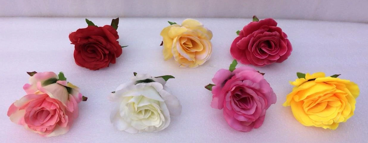 Rose Open Big